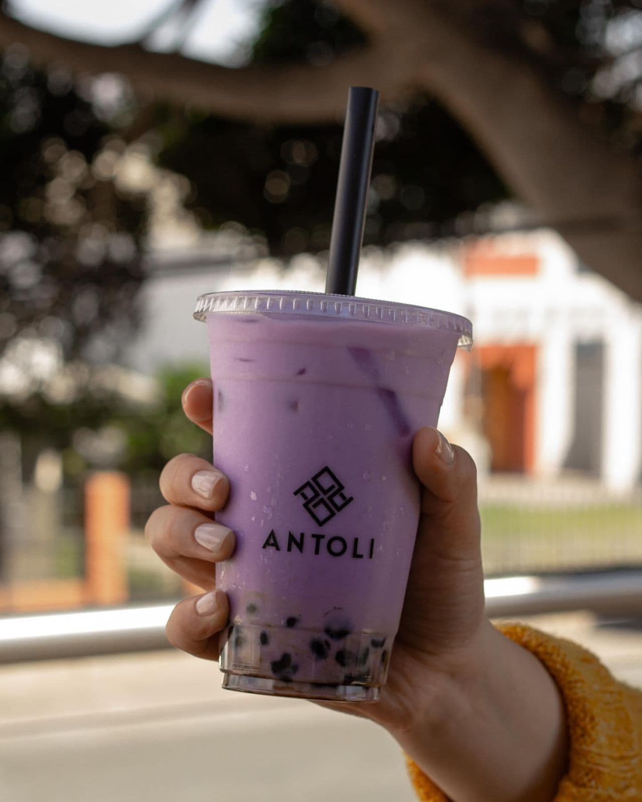 Taro Boba