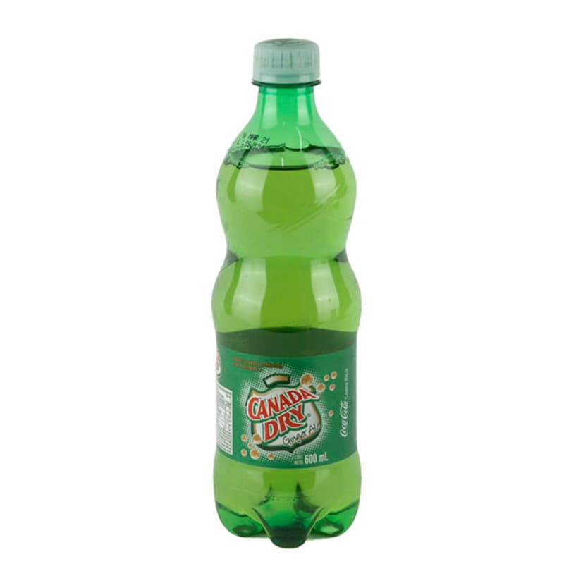 Ginger Ale 600 ml
