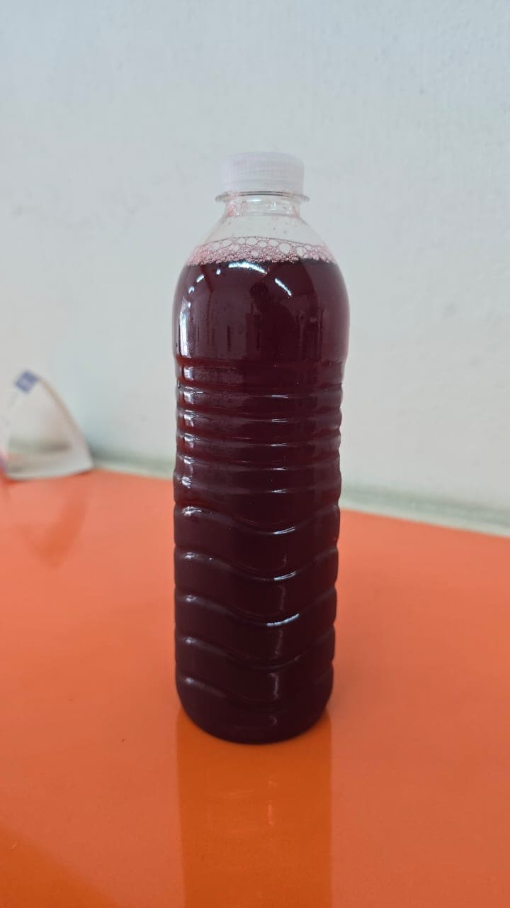 Jamaica en Botella de 500 ml