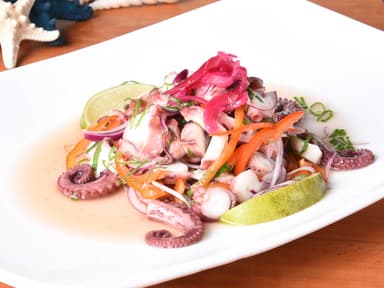 Ceviche de Pulpo