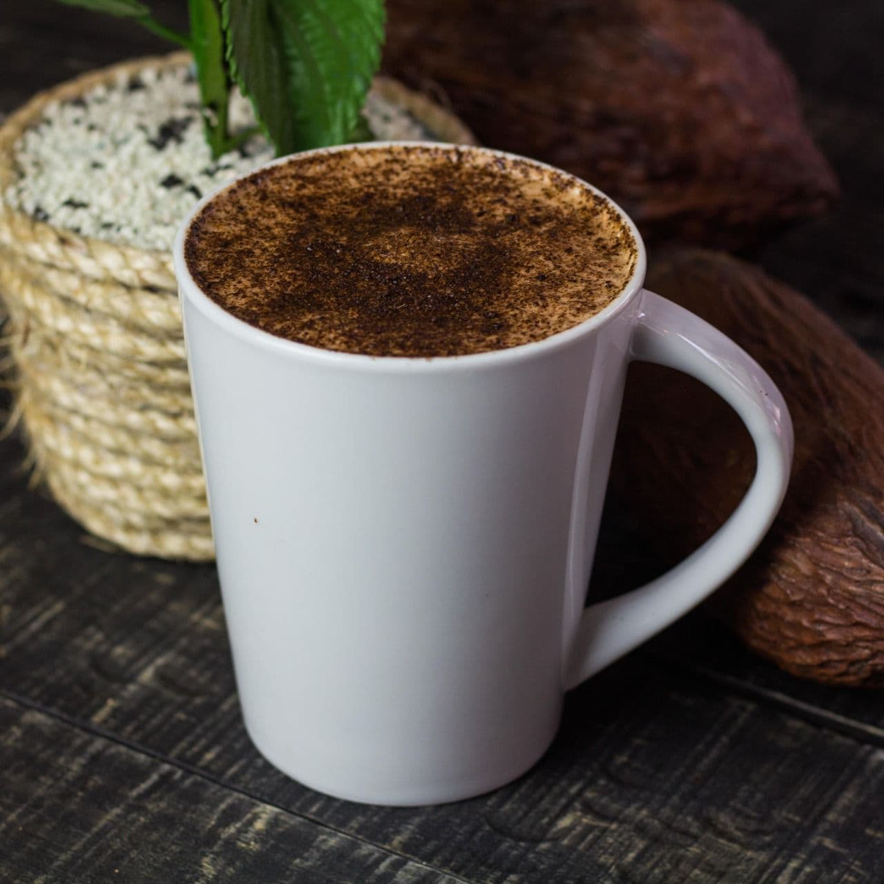 Cacao y Café