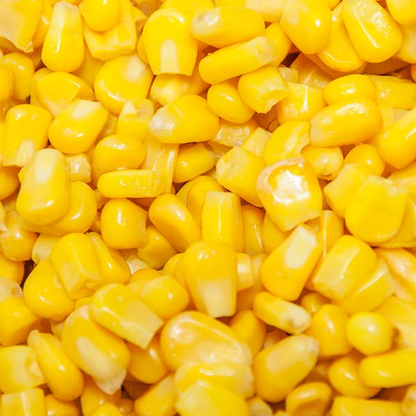 Maíz