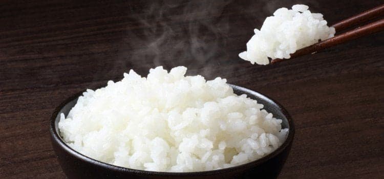 Gohan Arroz Blanco al Vapor con Camarón