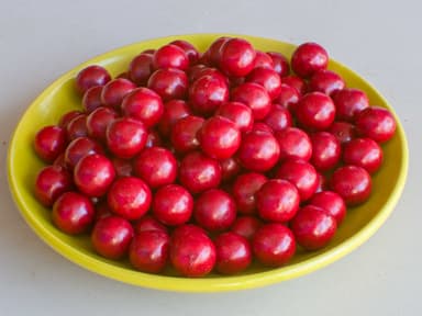 ¼ Bolita de tamarindo