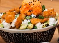 Yakimeshi Mega