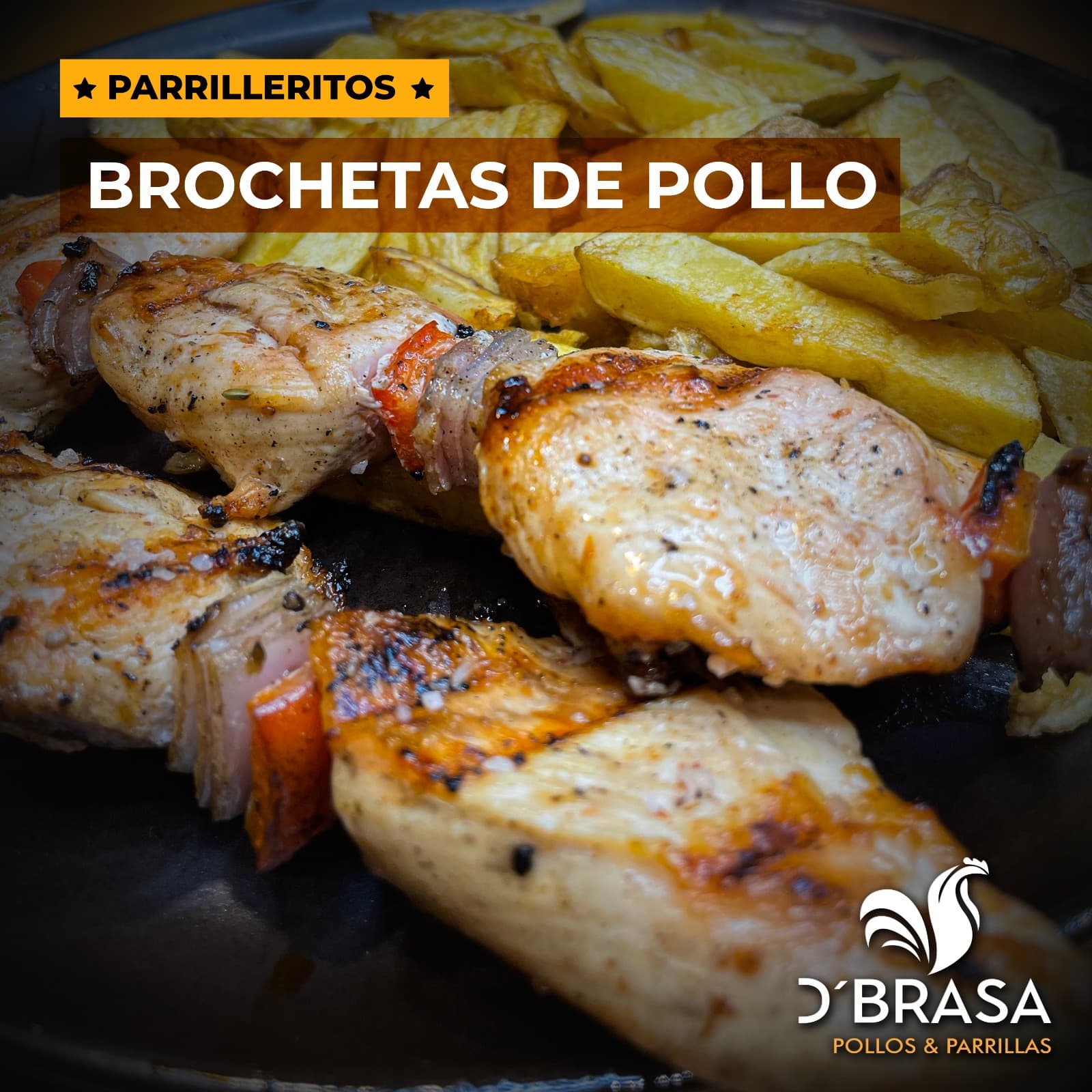 Brochetas de Pollo 2 uds