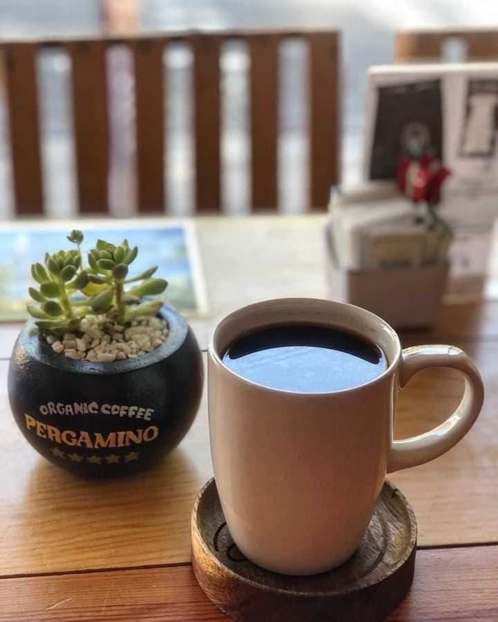 Americano 12oz