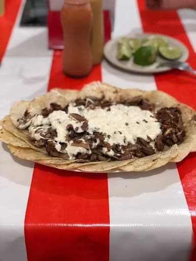 Alambre grande de Carbón