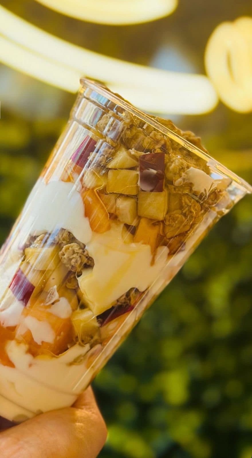 Yogurt con Fruta