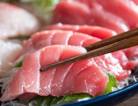 Sashimi Maguro