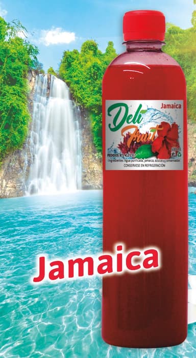 Agua Fresca de Jamaica