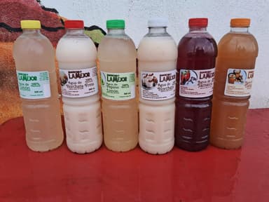 Agua de Jamaica (500 ml).