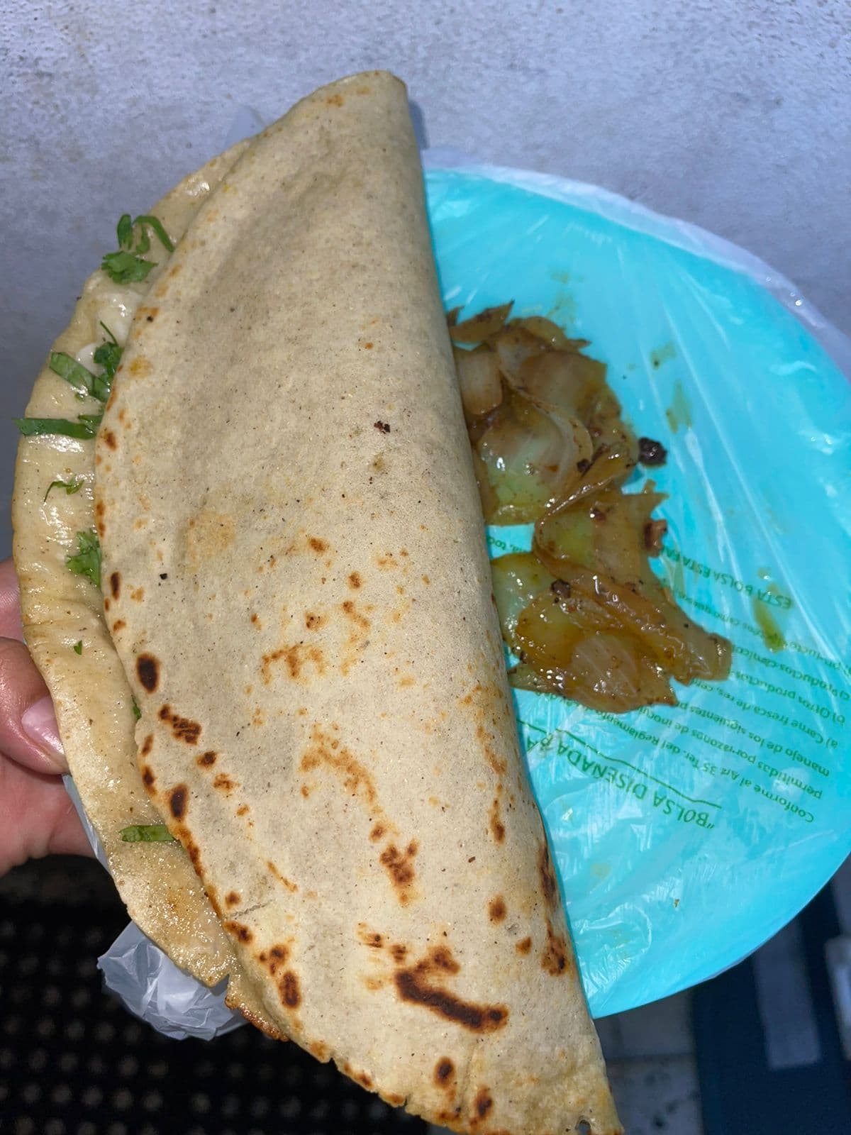Quesadilla de Pastor