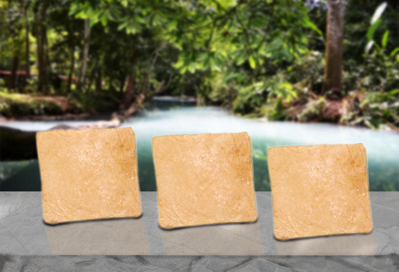 BARRA DE DULCE DE LECHE
