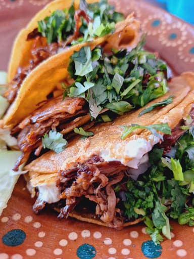 Taco de Birria