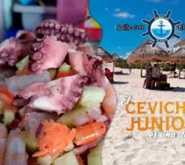 Paquete de Ceviche Junior