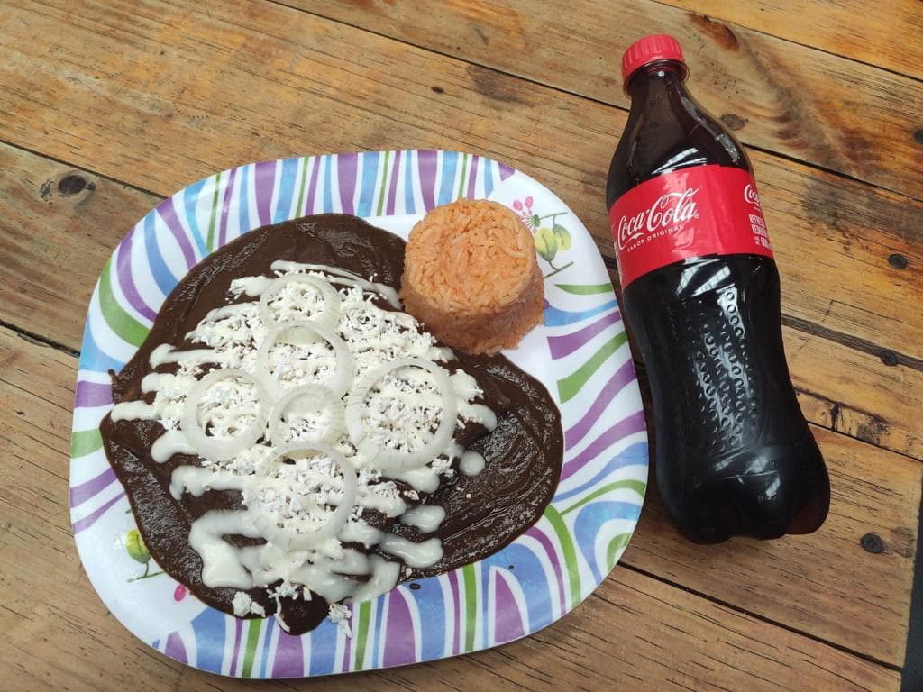 Combo Enmoladas + Coca-Cola 600ml