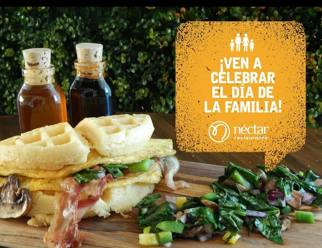 Waffle Néctar