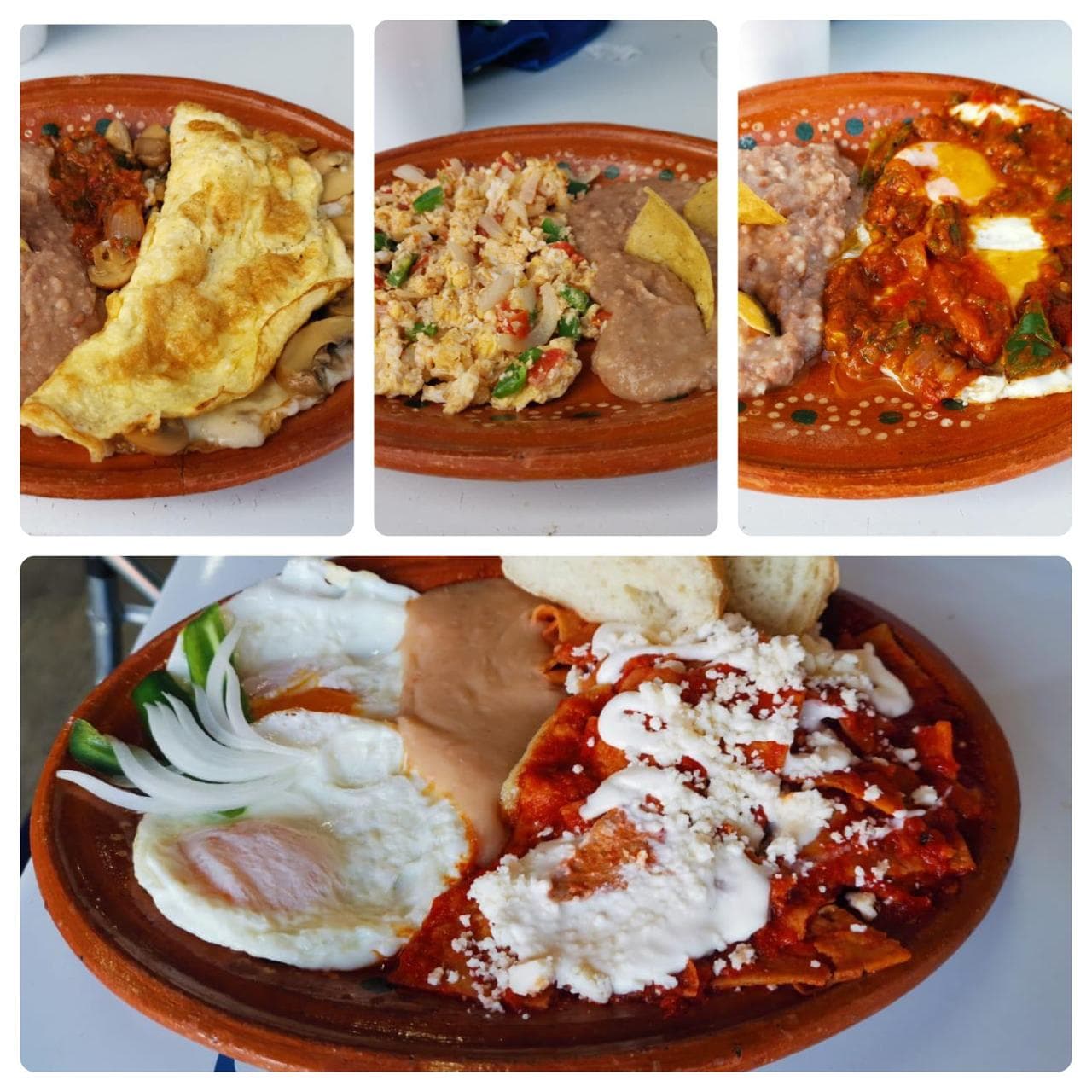 Huevos al gusto