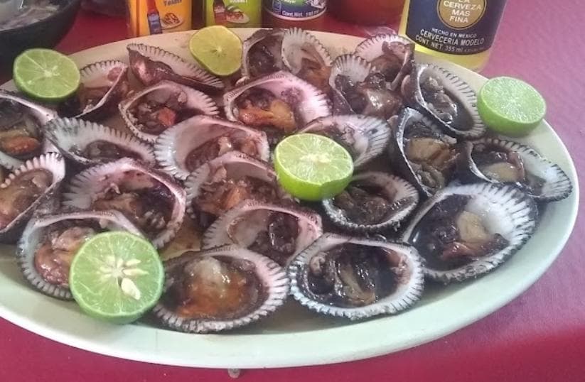 Ostión