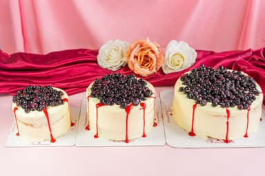 Torta Vainilla  Arándanos X 20