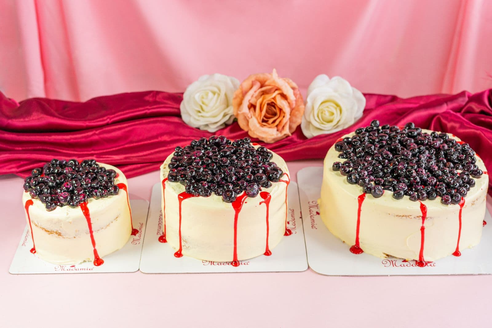 Torta Vainilla Arándanos X 10