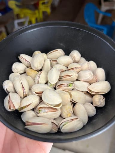 Pistaches