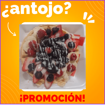 Waffle Sabrosura