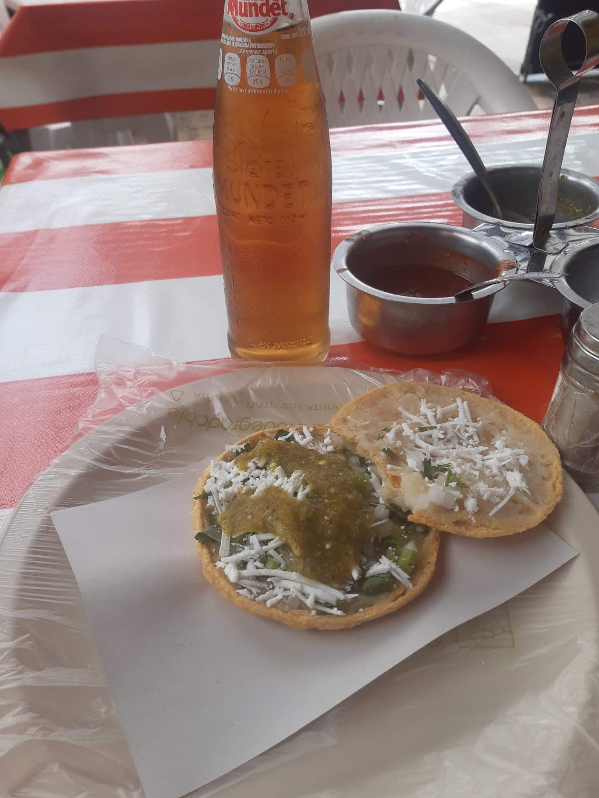 Gordita de Papa