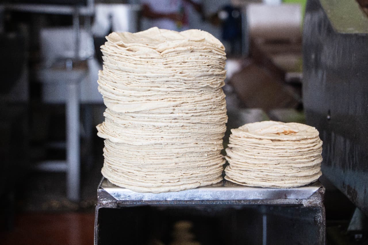 Tortilla de Máquina Grande