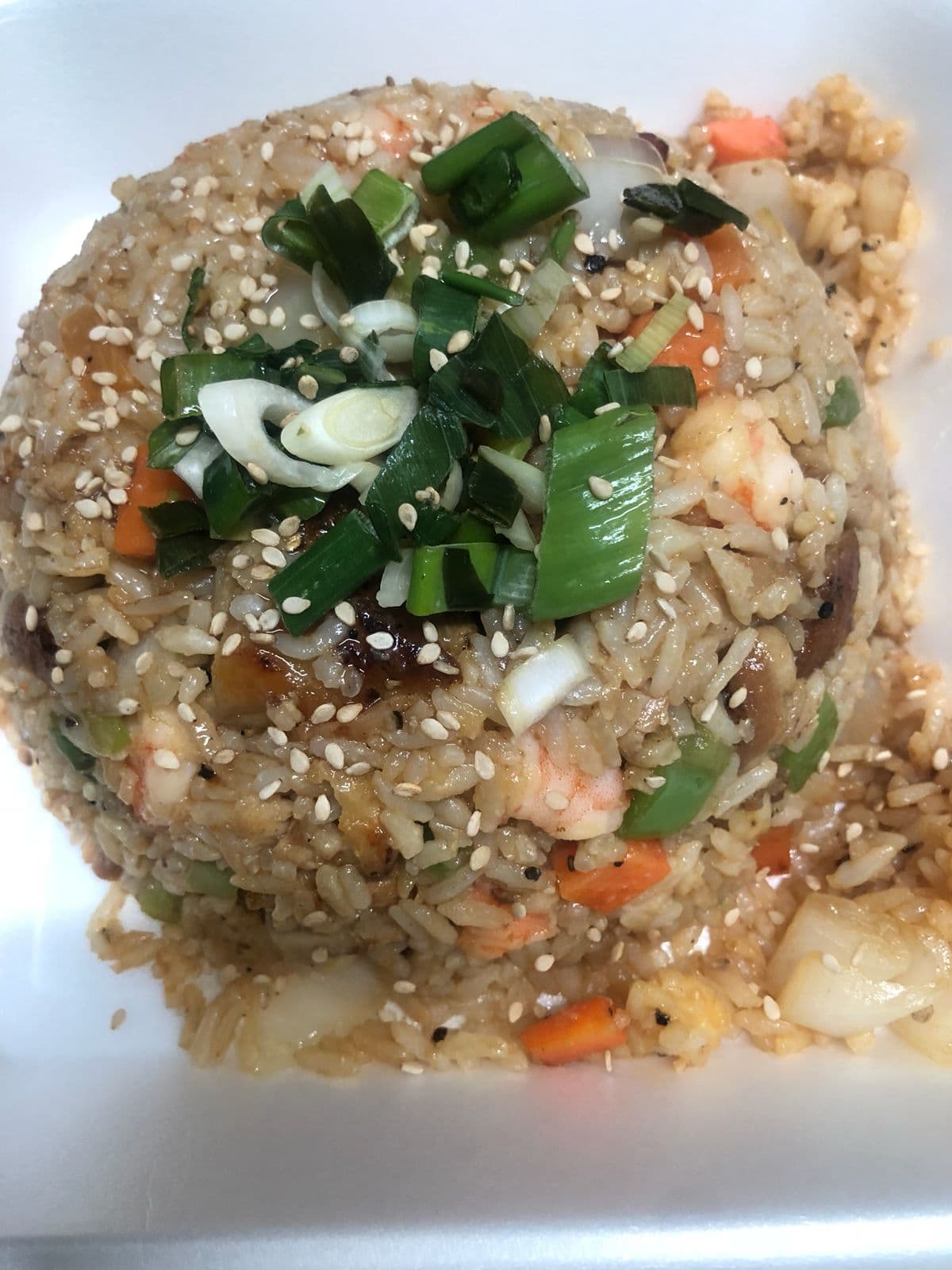 Arroz Frito Mixto