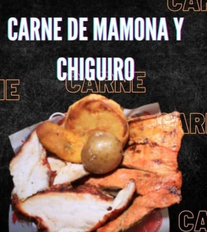 Chiwi con Mamona Cod 11030