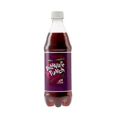 DELAWERE PUNCH