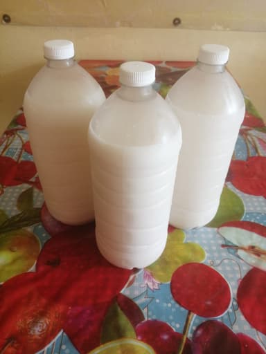 Horchata