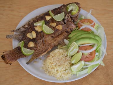 Mojarra