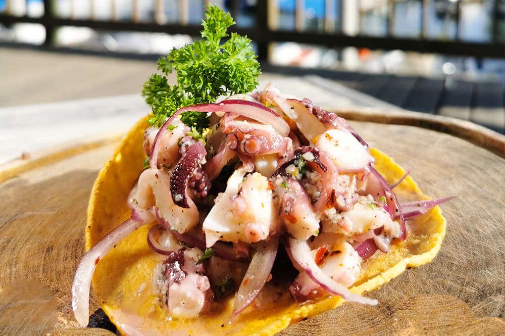 Tostada de Pulpo
