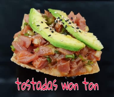 Tostadas Won Ton (2)