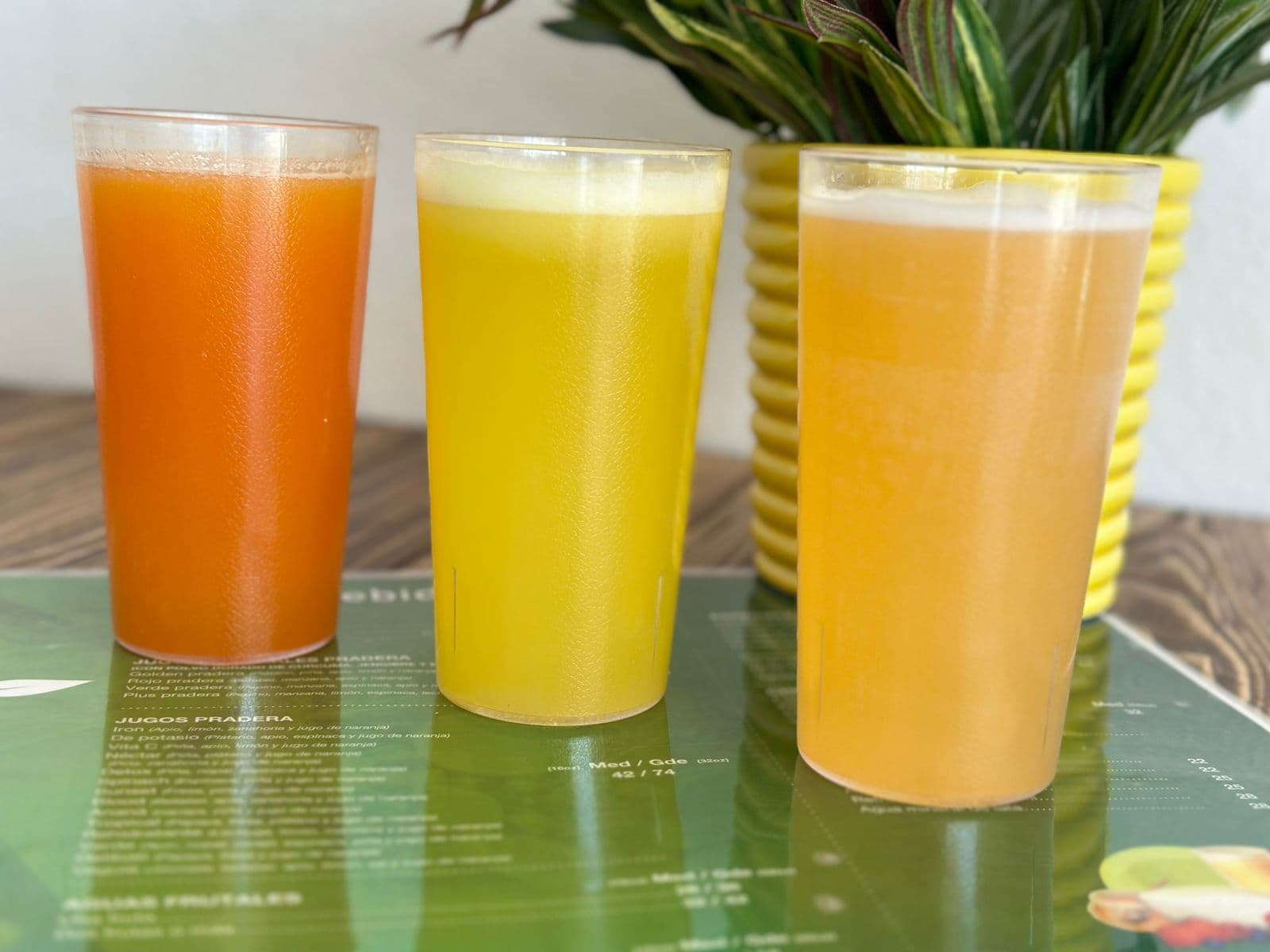 Agua 1 Fruta
