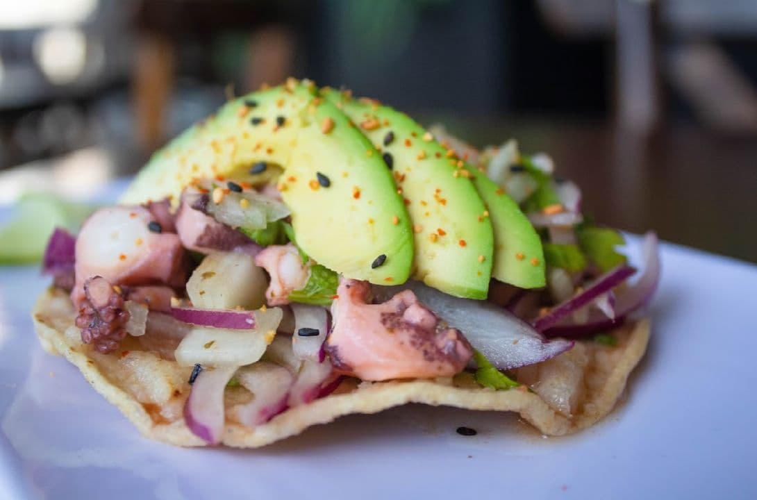 Tostada de Pulpo