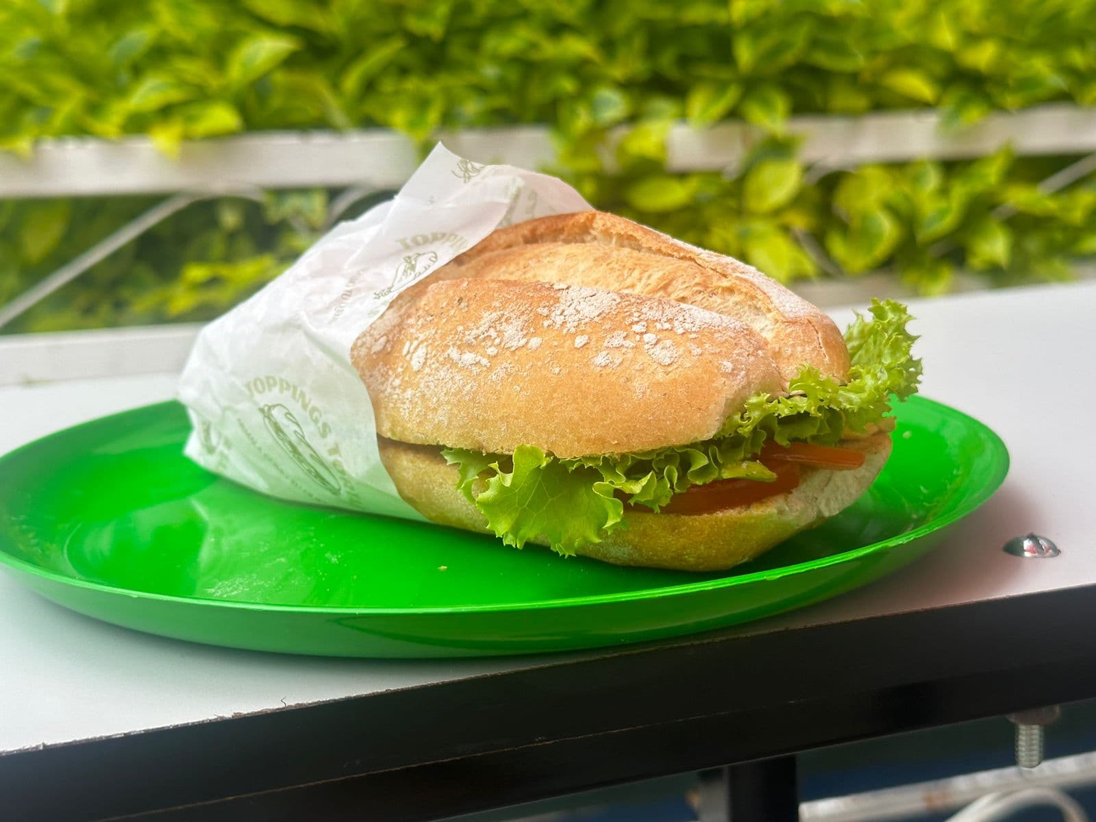 Torta de Huevito con Jamón