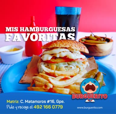 Hamburguesa Solo de Queso.