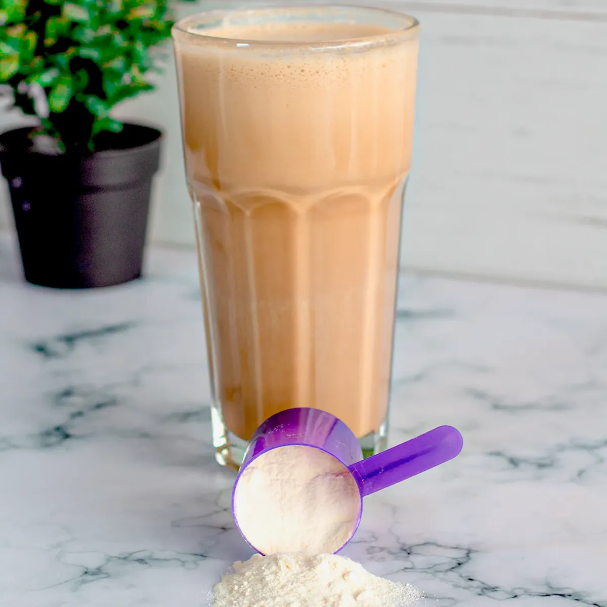 Chocopost Workout 16 Oz