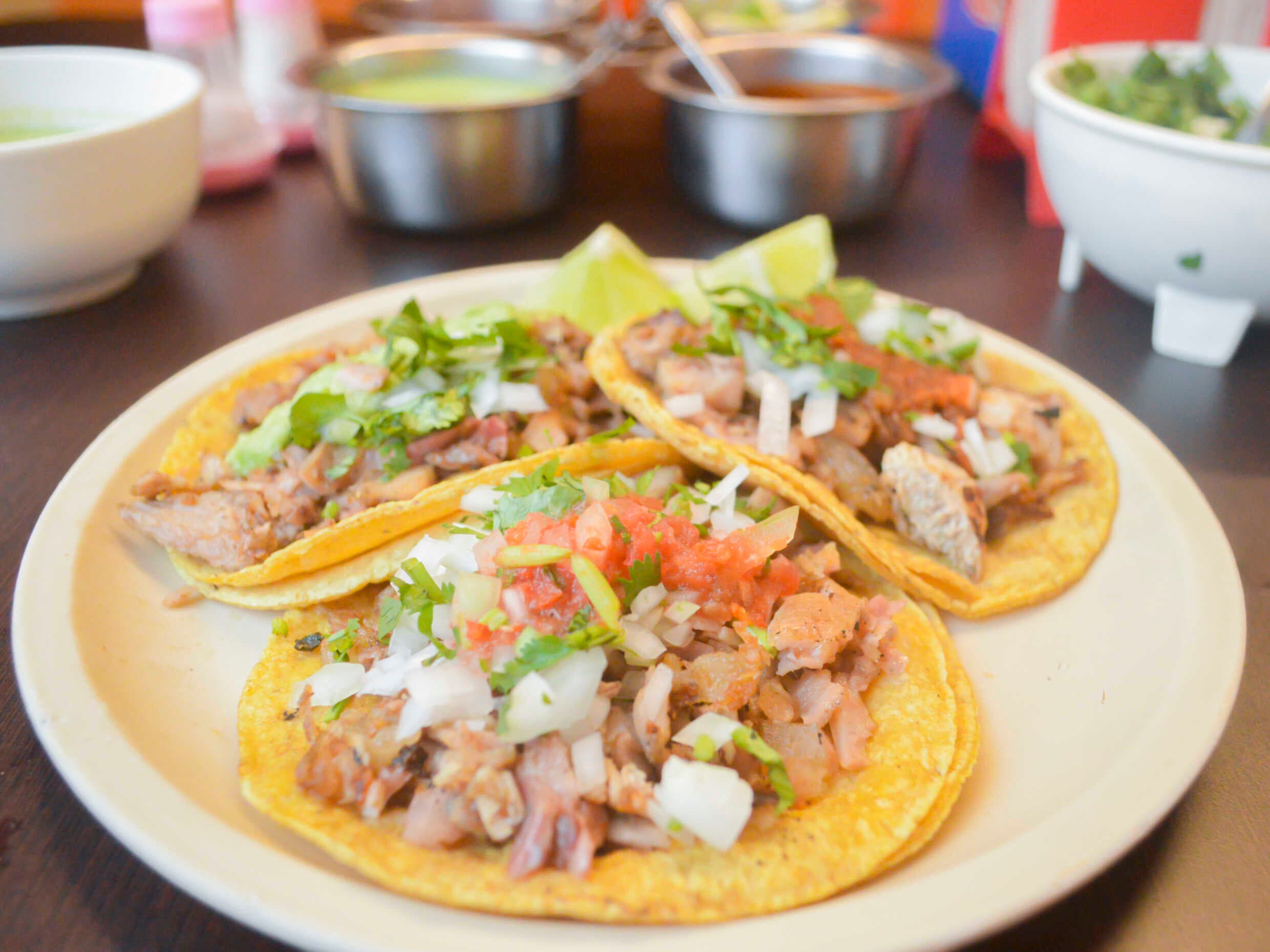 Tacos de Carnitas