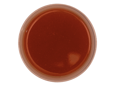 Salsa Pizza