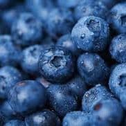 Extra de Blueberries