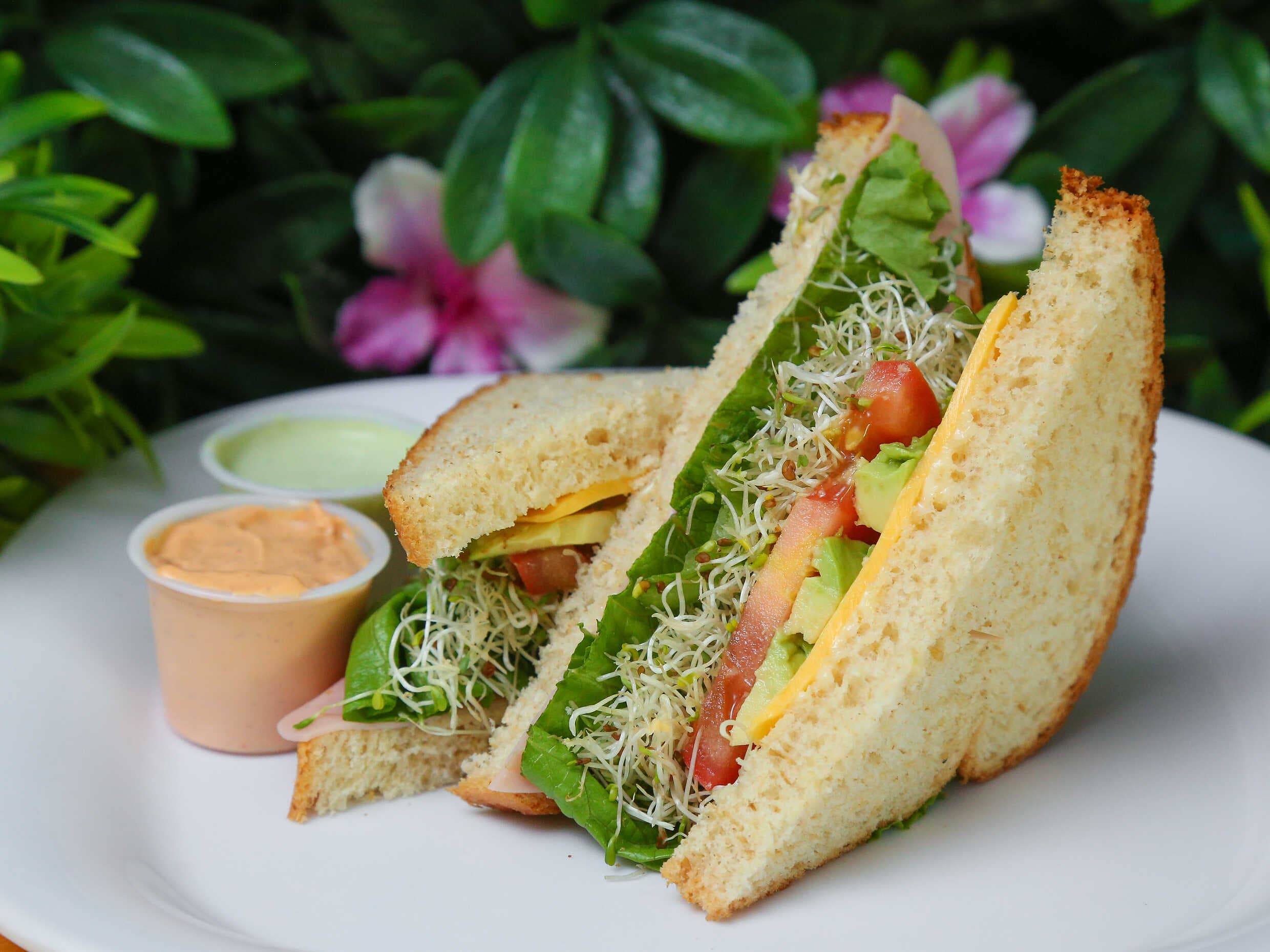 Sándwich Vegetariano