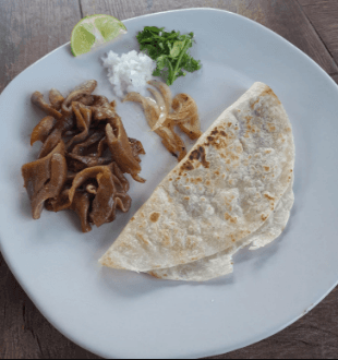 Taco de Tripa