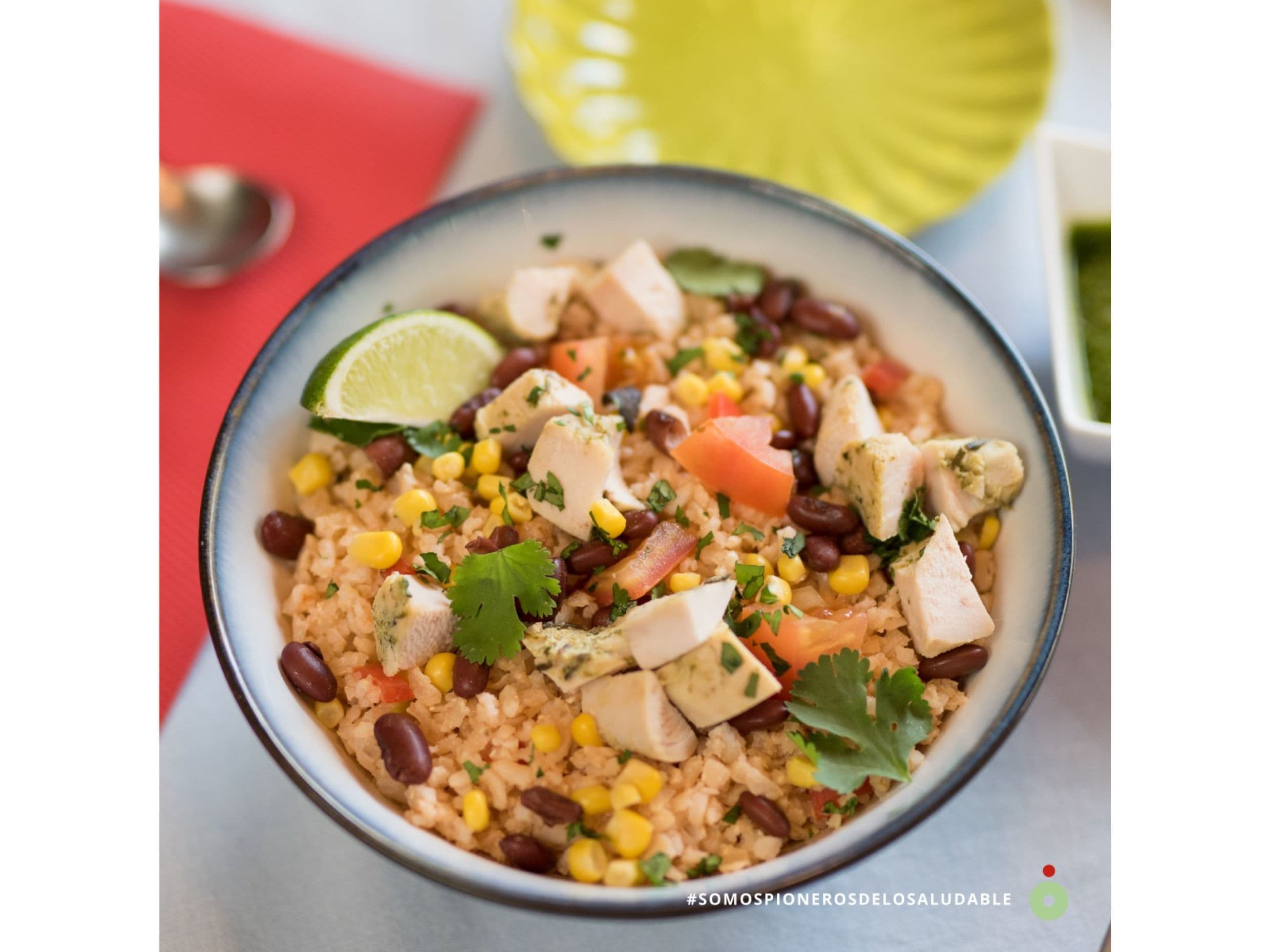 Arroz Pollo Santa Fe
