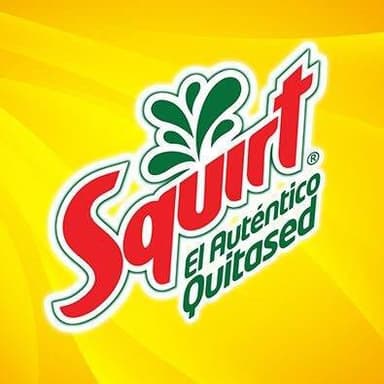Squirt 355 ml