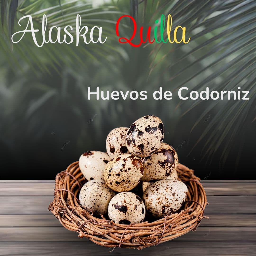 Huevo de Codorniz